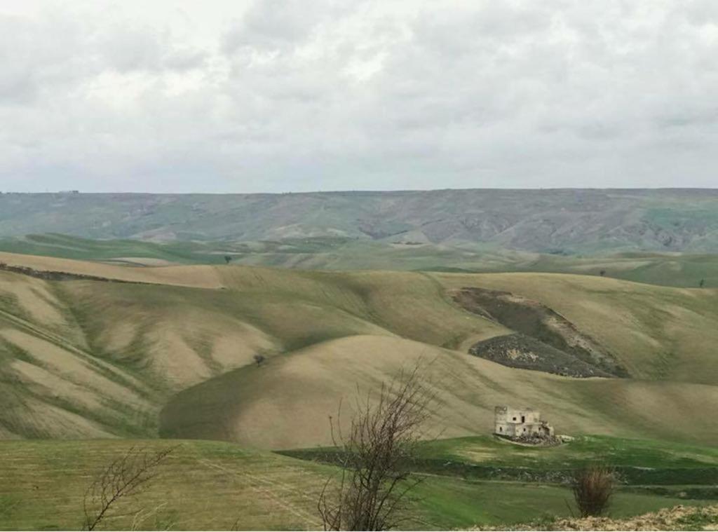 B&B Mantegna Irsina Mt Kültér fotó